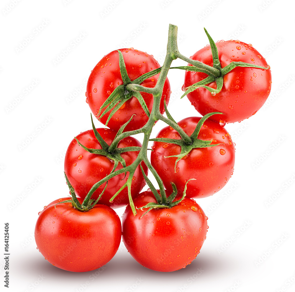Big branch of fresh red tomato with green leaves with water drops Big branch of fresh red tomato with green leaves with water drops