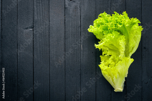 Lettuce. Raw Vegetables Top view. Free space for your text.