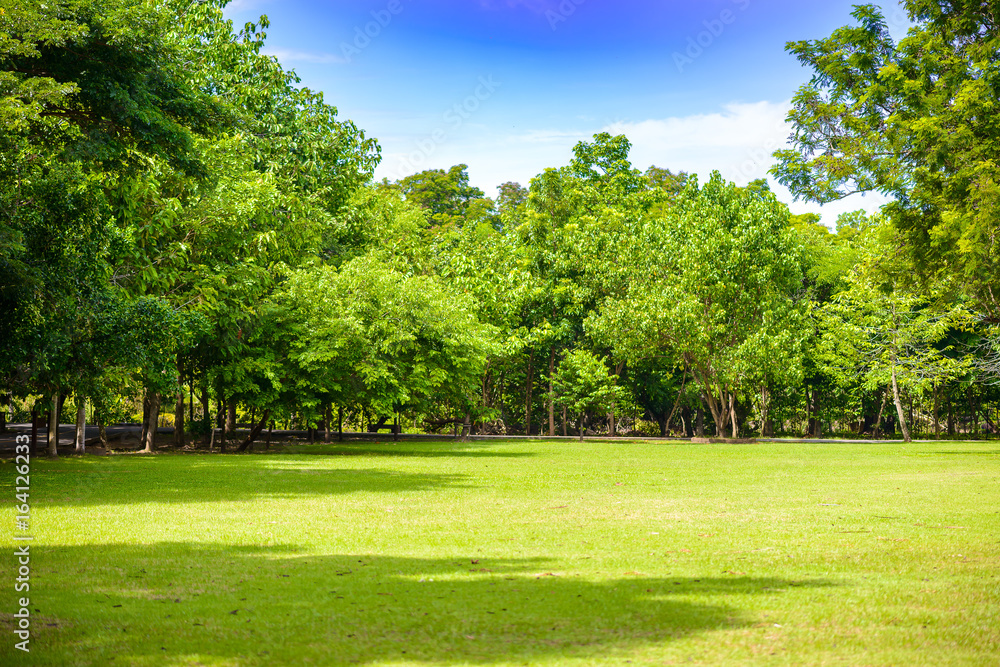 The abundance of trees, blue skies and lawn at Sri Nakhon Khuean Khan Park and Botanical Garden