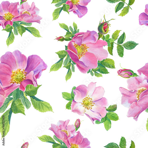 Rose Hip.Watercolor wild rose flowers on a white background. illustration. Dog-rose.Seamless pattern.Can be used for textile,fabric, wrapping paper,design a web site.