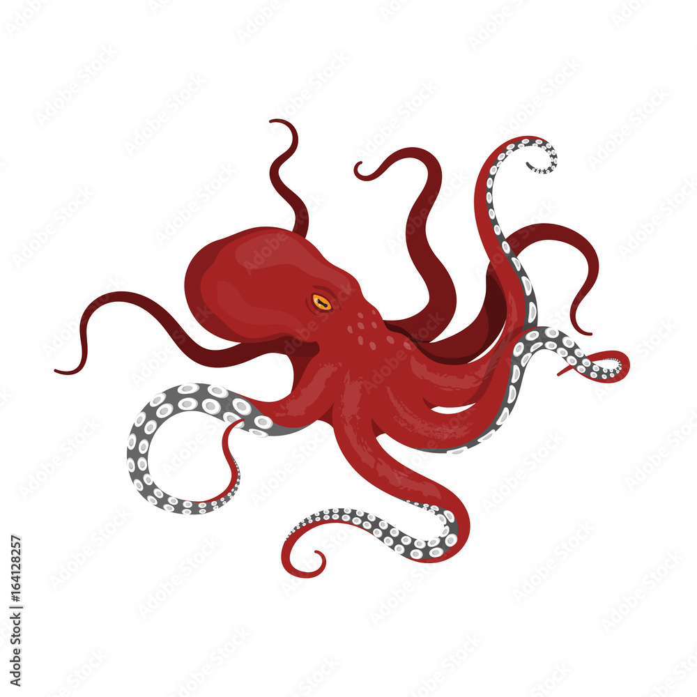 Giant red octopus on a white background. Sea monster kraken in cartoon  style Stock Vector | Adobe Stock