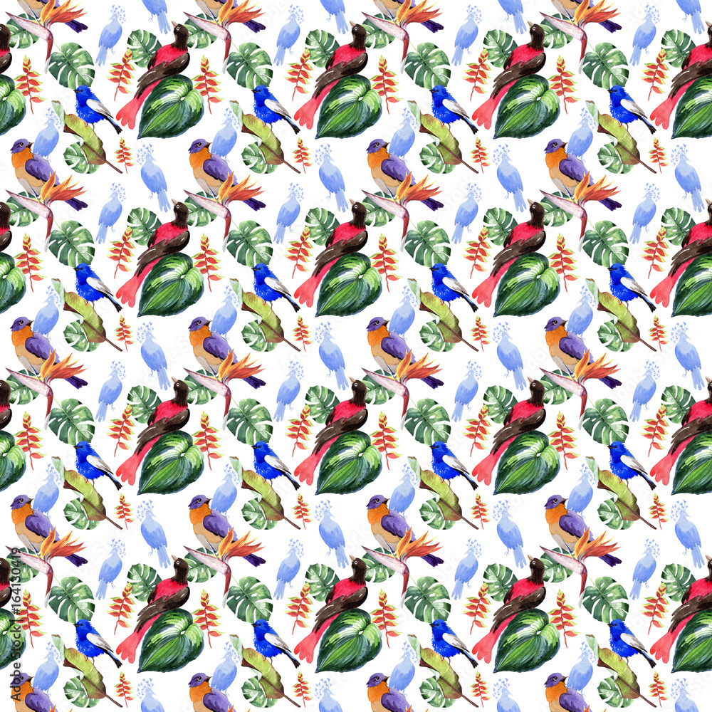Obraz premium Sky birds of paradise pattern in a wildlife by watercolor style. Wild freedom, bird with a flying wings. Aquarelle bird for background, texture, pattern, frame, border or tattoo.