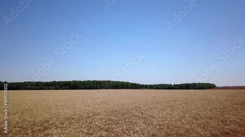 Champs de blé et foret. Survol. Eure-et-Loire