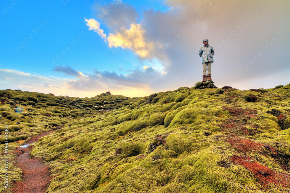 Beautiful tourist posing in the amazing volcanic mossy landscape of Eldhraun at sunrise in Iceland