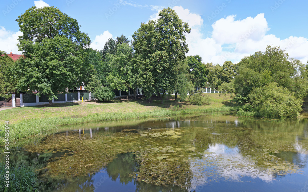 Panorama of a small city pond with still water.