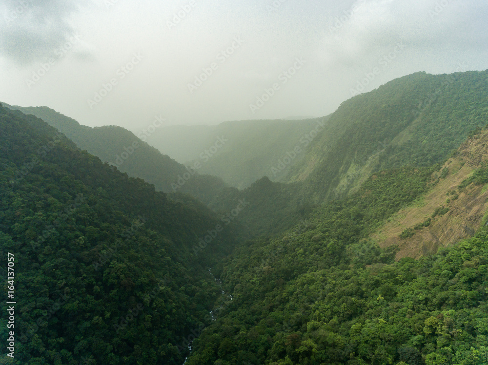 Fototapeta premium Foggy scenes of a tropical rain forrest