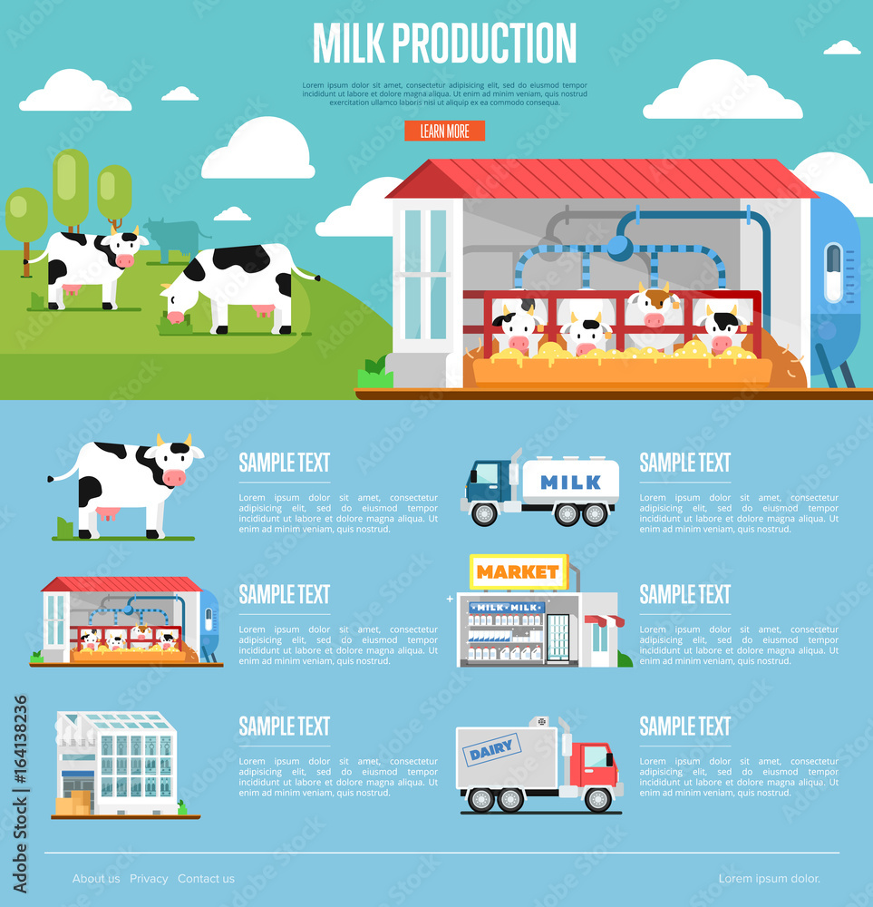 Milk production infographics. Modern cow farm, transportation and processing on milk factory, fresh and healthy dairy products distribution in market. Eco milk manufacturing vector illustration. Milk production infographics. Modern cow farm, transportation and processing on milk factory, fresh and healthy dairy products distribution in market. Eco milk manufacturing vector illustration.