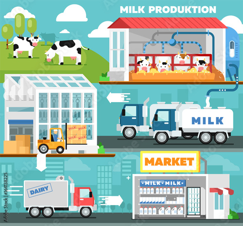 Eco milk production infographics in flat style. Cow farm, transportation and processing on milk factory, fresh and healthy dairy product distribution in retail. Milk manufacturing vector illustration