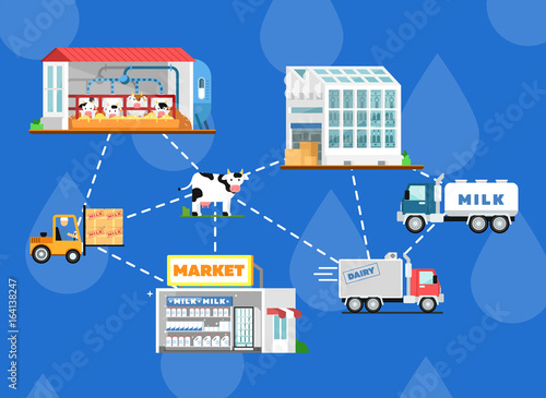 Eco milk production processing scheme. Modern cow farm, transportation and processing on milk factory, fresh and healthy dairy products distribution in market. Milk manufacturing vector illustration.
