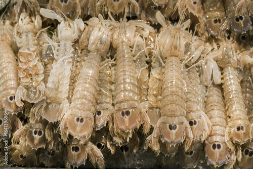 Squilla Mantis shrimp at the fish market