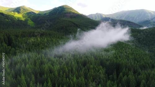 flight over forest in mountains