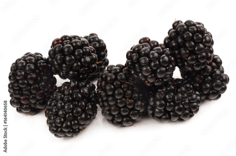 blackberries on a white background blackberries on a white background