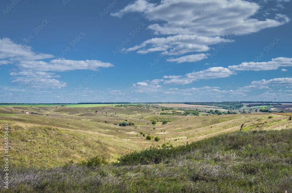 Obraz premium UKrainian summer landscape with wheat field.