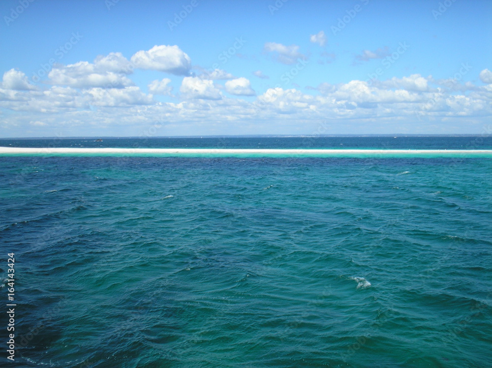 Obraz premium OLYMPUS DIGITAL CAMERA