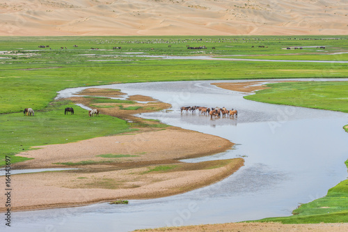Wallpaper Mural animals grazing on grass and on water source of desert oasis
 Torontodigital.ca