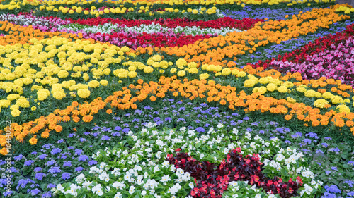 Colorful flowerbeds in summer city. © andkov81