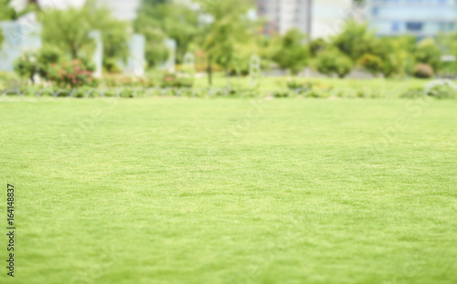 Lawn Background Selected focus