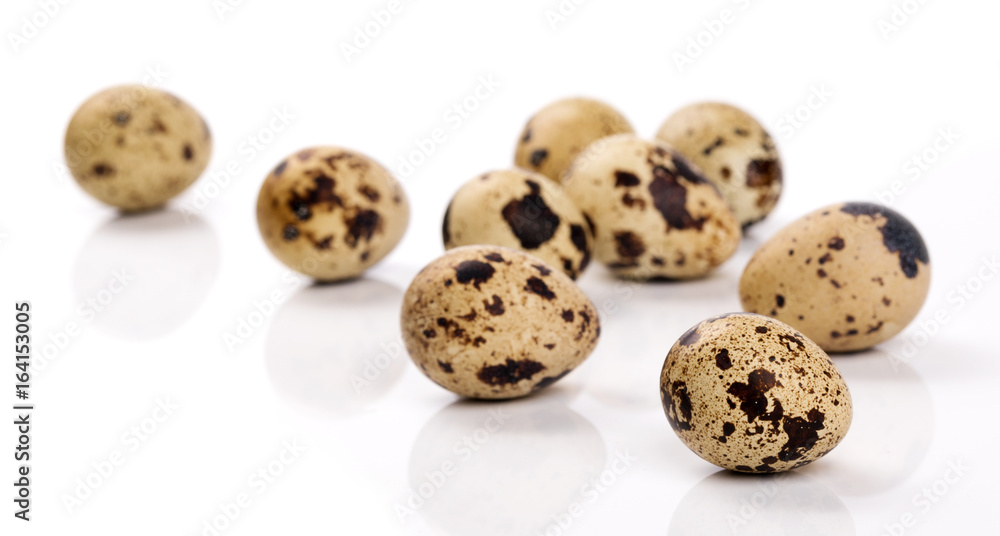 quail eggs isolated on white background quail eggs isolated on white background