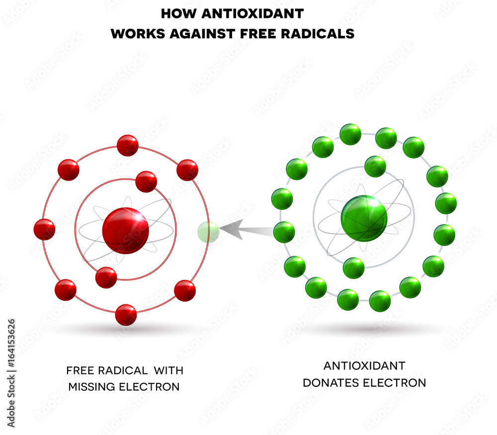 How antioxidant works against free radicals. Antioxidant donates