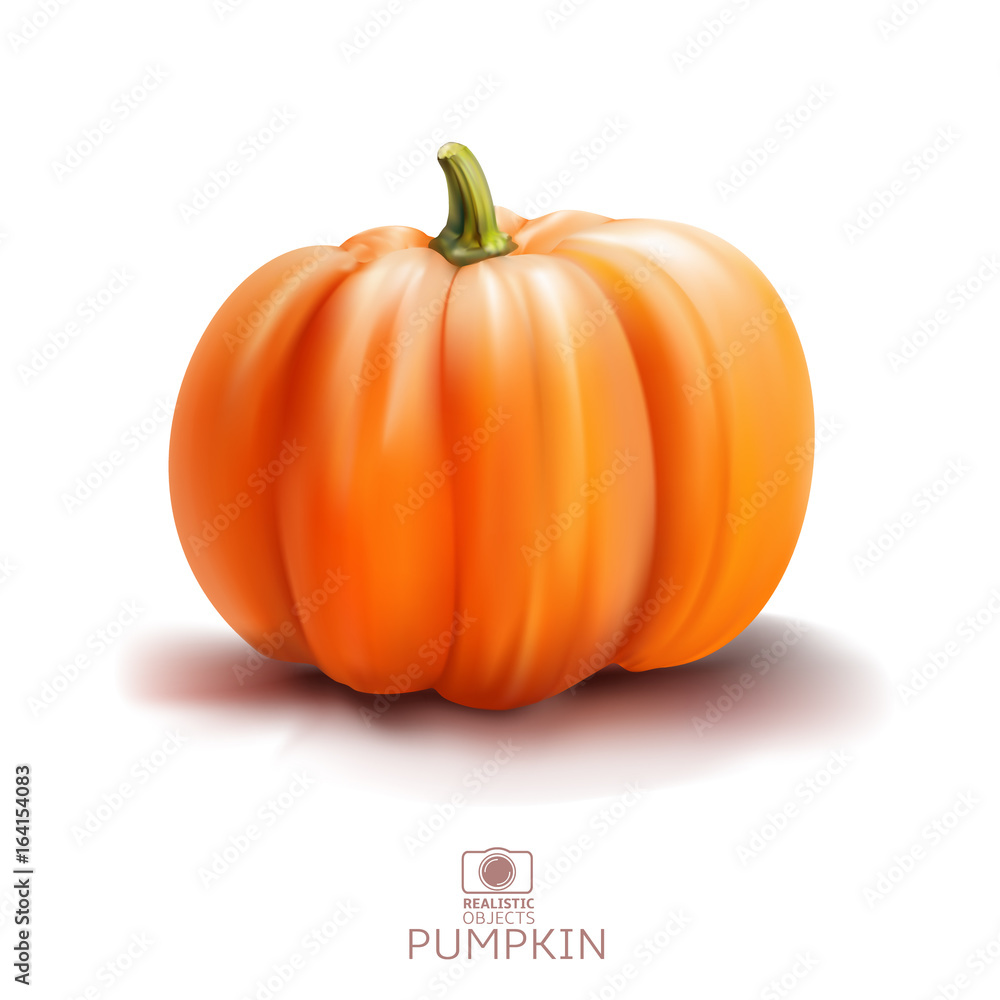 Realistic vector pumpkin isolated on white background