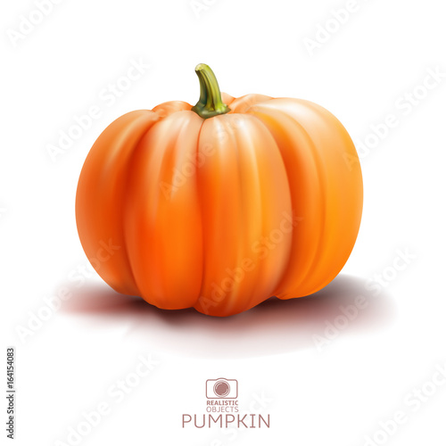 Obraz na płótnie Realistic vector pumpkin isolated on white background w salonie