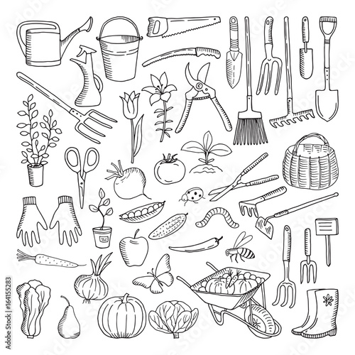 Hand drawn tools for farming and gardening. Doodle of nature environment
