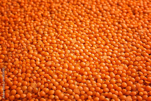 Red lentils background