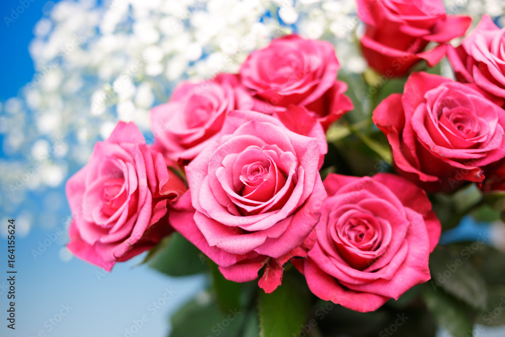 薔薇の花 薔薇の花