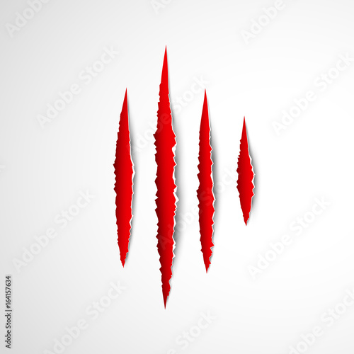 Claws paw scratches isolated vector on transparent background. Animal Claws horror scratch tiger, lion or bear