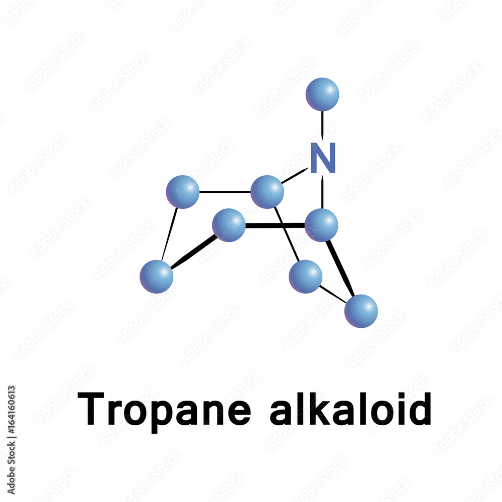 Tropane bicyclic alkaloid