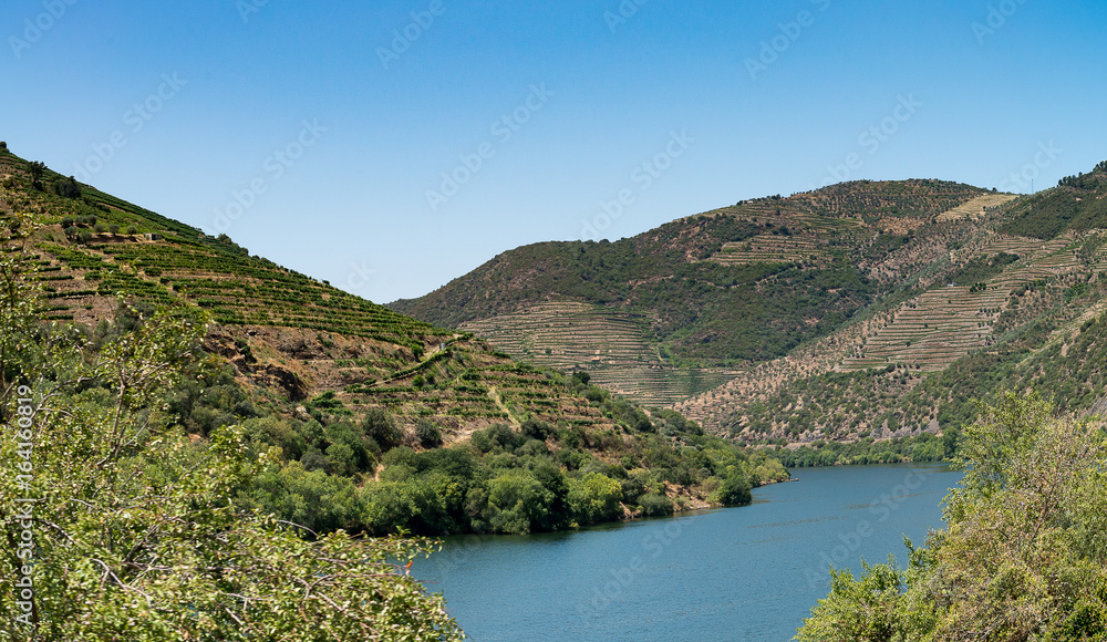 Point of view shot of terraced vineyards in Douro Valley