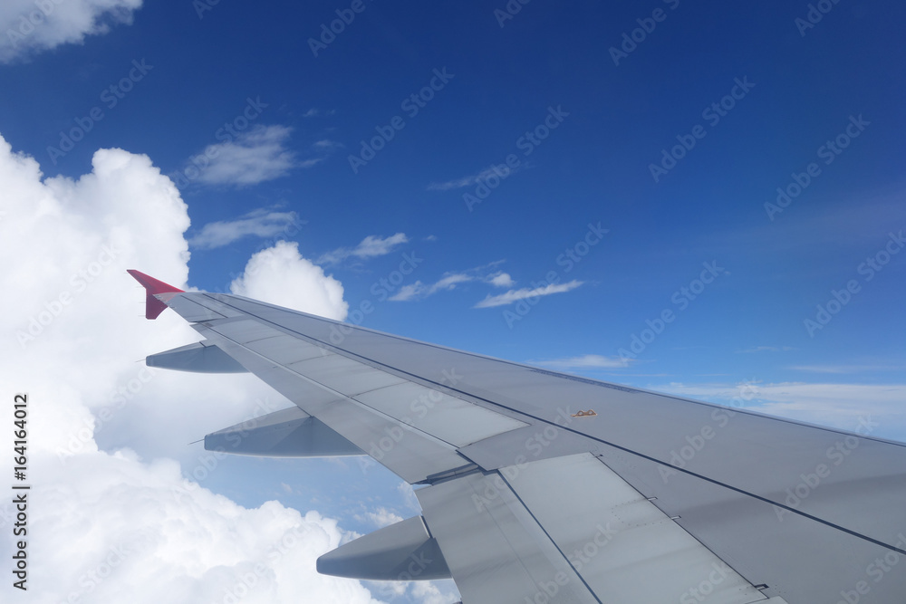 Obraz premium View from plane over the wing