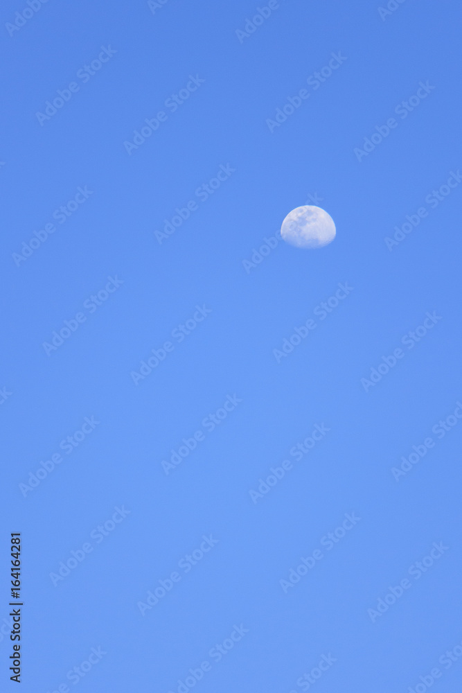 Clear blue sky which has half moon in daytime (can used as background)
Clear blue sky which has half moon in daytime (can used as background)
