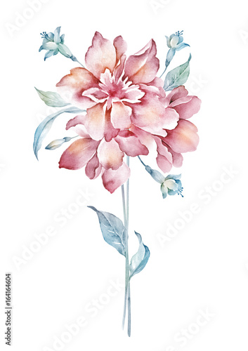 watercolor illustration flowers in simple background