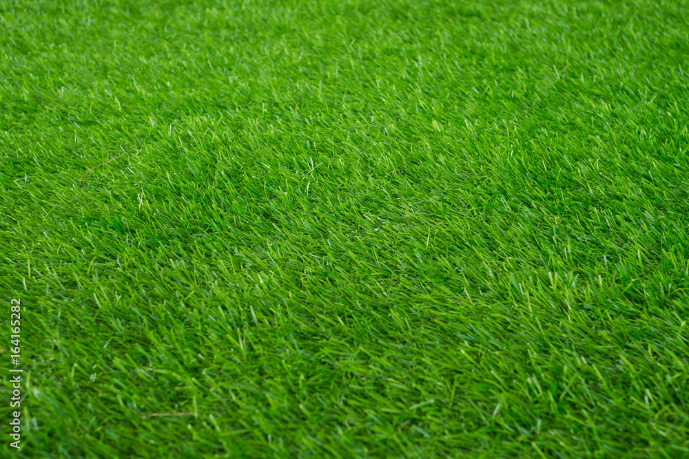 grass field background grass field background