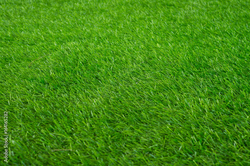 grass field background