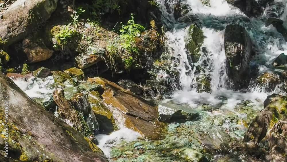 Forest stream near the village Chibit in Altai. Forest stream near the village Chibit in Altai.