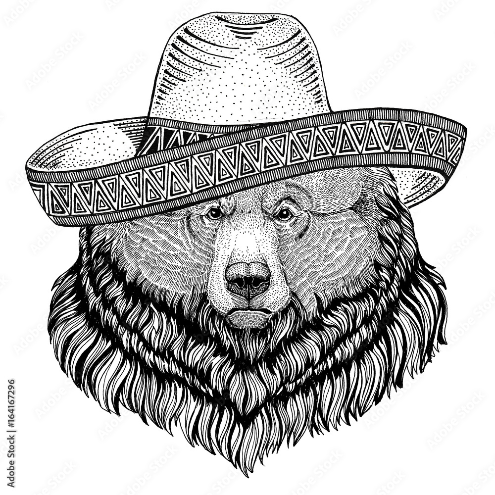 Grizzly bear Big wild bear Wild animal wearing sombrero Mexico Fiesta  Mexican party illustration Wild west ilustración de Stock | Adobe Stock