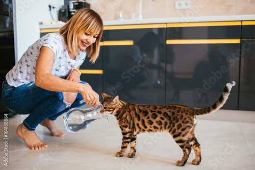 Woman gives water from a jug to a Bengal cat