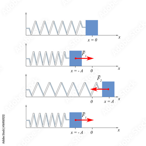 Damped oscillations of a spring with a load