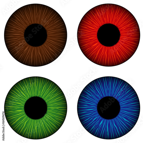 Simple set of human eyes iris isolated