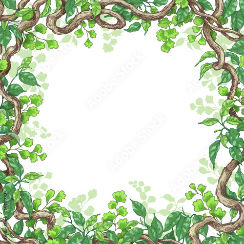 Green Leaves  and Liana Branches Frame