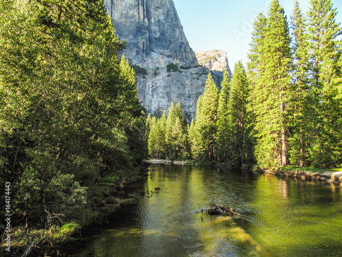 View of landscape during summer in Yosemite National Park with many pine trees and high mountains with river