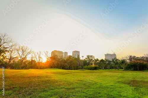 Morning, Beautiful park scene in public park with green grass field, Bankok, Thailand.