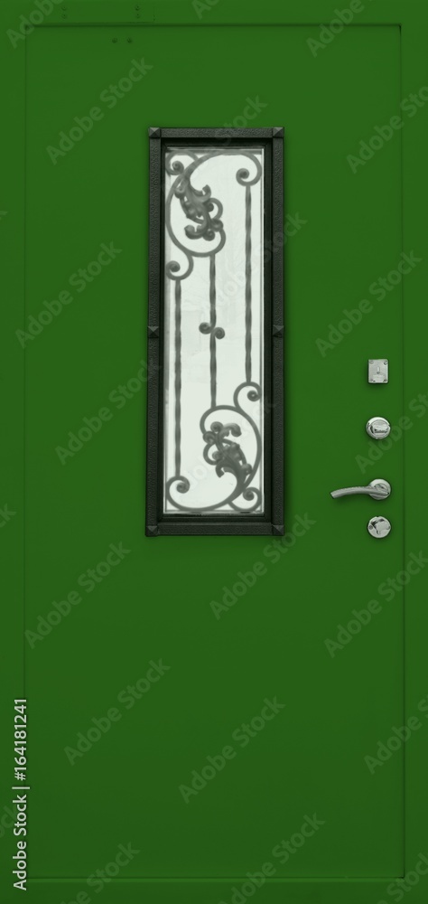 Fototapeta premium Entrance door (metal door)