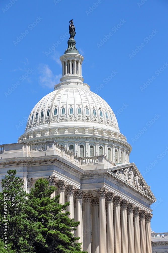 Obraz premium US National Capitol