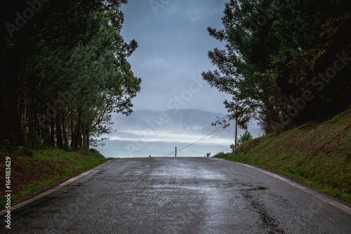 Fotografie Scenics View of Country Road Amidst Forest Trees Against Coastline and Ocean