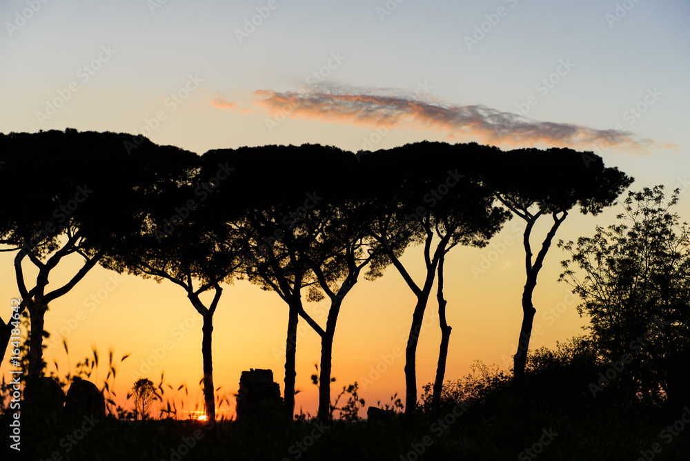Rome (Italy) - Roman aqueduct in Rome at sunset Rome (Italy) - Roman aqueduct in Rome at sunset