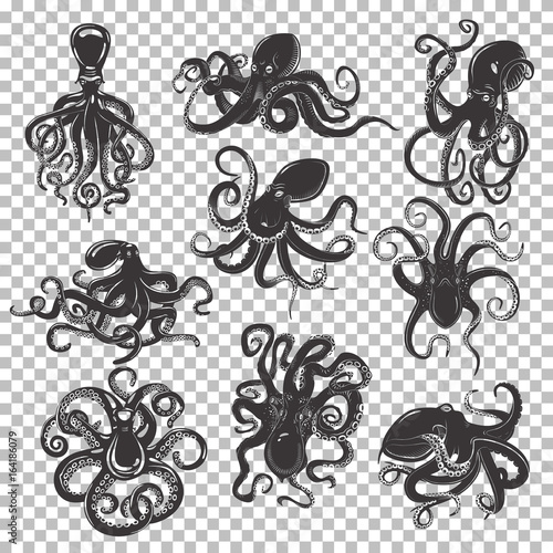 Set of isolated octopus mascot or tattoo photo