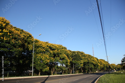 Bosque ao lado de rodovia, Parque da Cidade